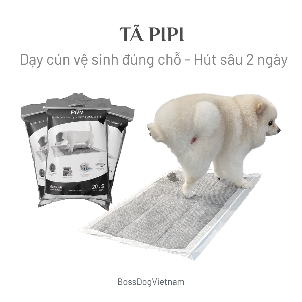 [HCM]Tã lót vệ sinh chó PIPI kích thích cún tè lần sau | BossDog