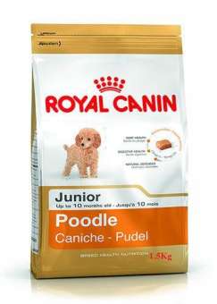 Royal Canin Poodle 500g - Thức ăn hạt cho chó