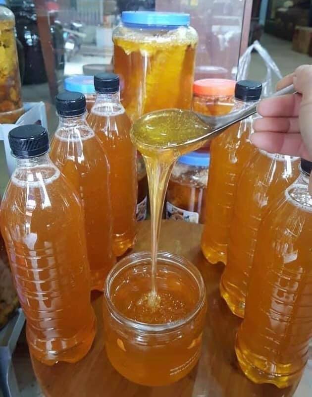 Mật ong rừng nguyên chất - mật ong khoái rừng
