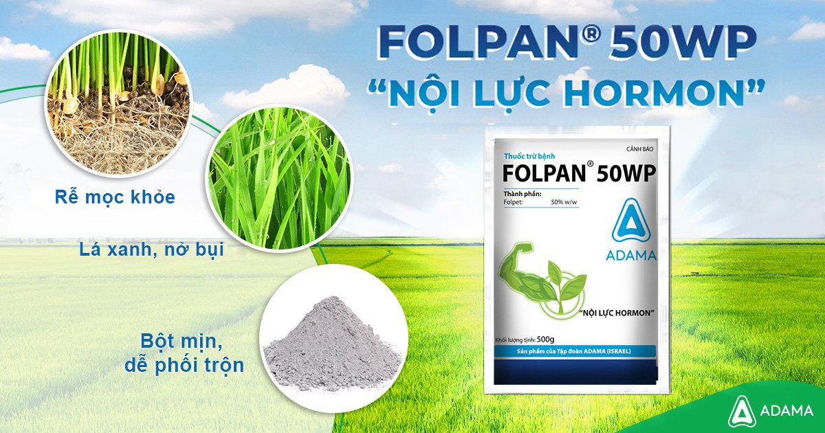 FOLPAN 50WP - Bảo Vệ Cây Bằng Nội Lực Hormon. - Ngoài ra Folpan còn hỗ trợ cây nở bụi, rễ phát triển