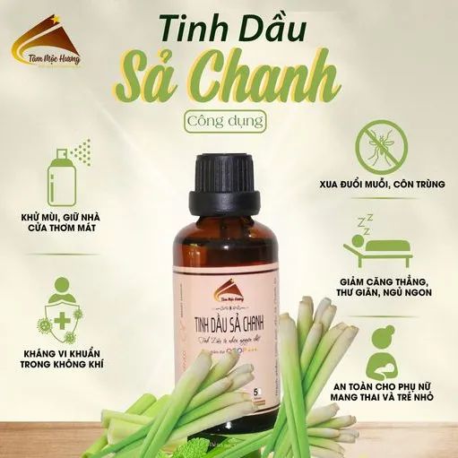 Tinh dầu SẢ CHANH Án Độ nguyên chất 50ML 100ML 10ML