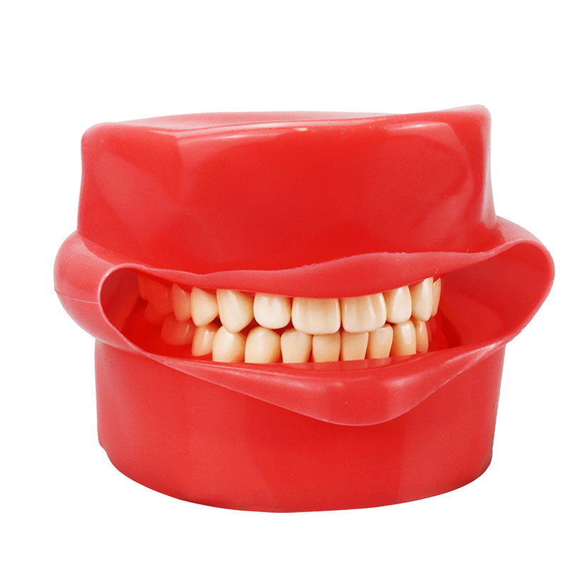 Gambar Dental Training Tooth Model Resin Removable Teeth Model Dentist Oral Student Model Dentist Lab Teaching Unit Tools