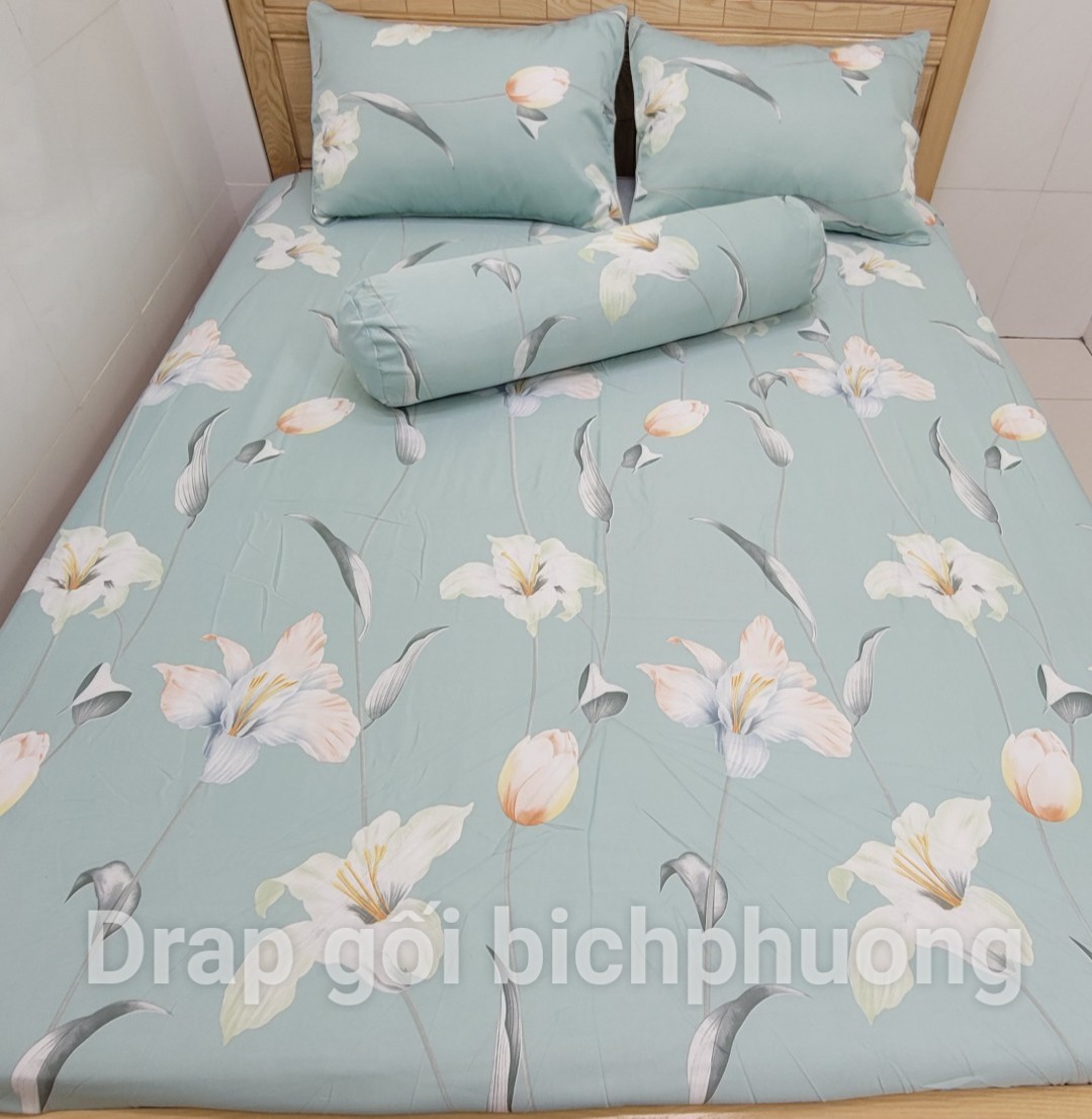 [HCM]Bộ Drap+áo gối Tencel 4 món /vải nhập Hàn Quốc / có drap lẻ