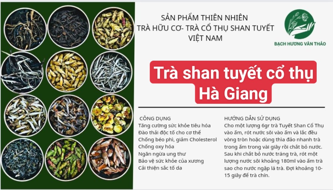 10G ,30g các loại trà cổ thụ Shan tuyết Hà Giang /hồng trà/ trà phổ nhĩ/ bạch trà/ nụ hoa trà/ trà chít/trà xanh/ trà m.óng r.ồng, BẠCH HƯƠNG VÂN THẢO