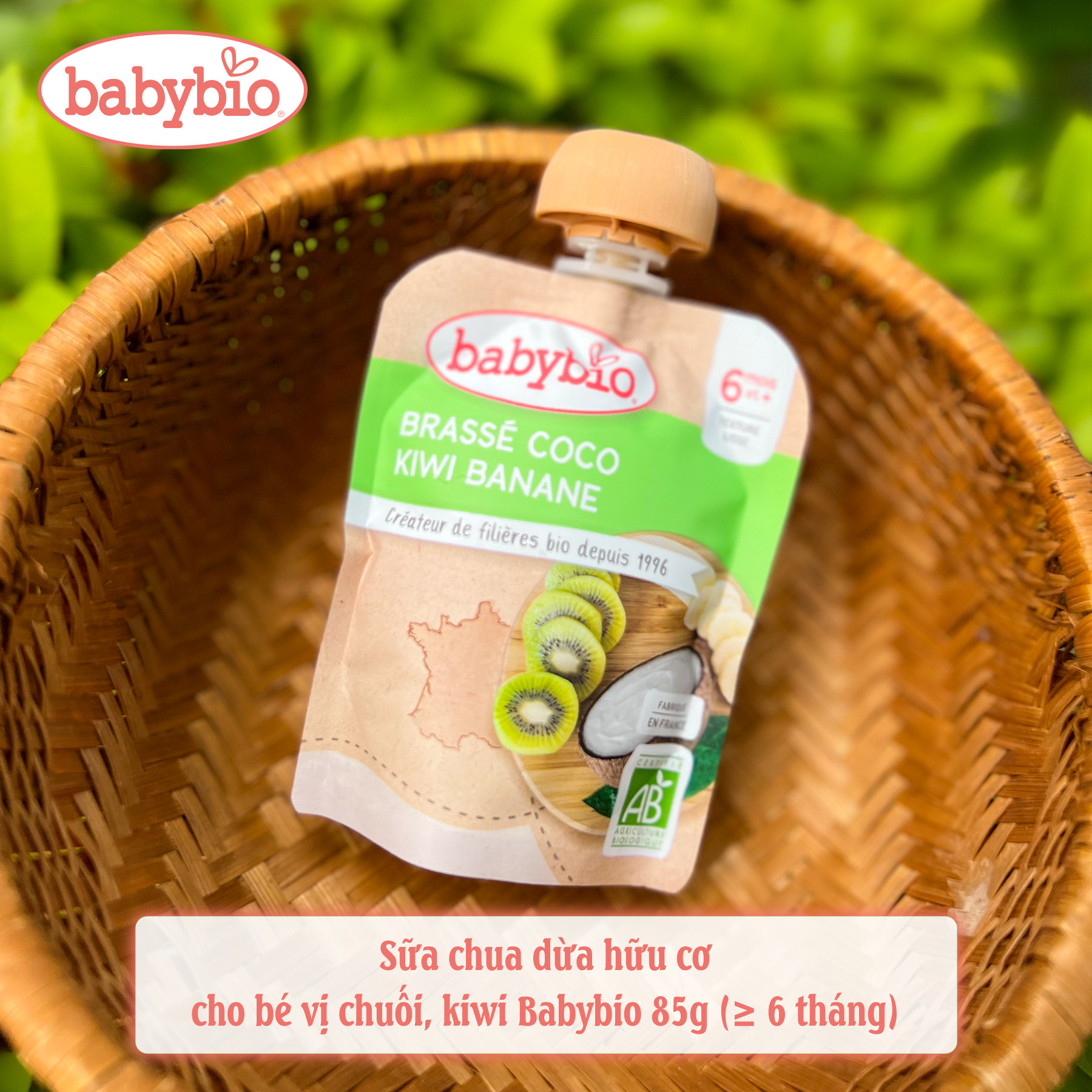 Sữa chua dừa hữu cơ cho bé vị chuối, kiwi Babybio 85g - Leafhouse hcm