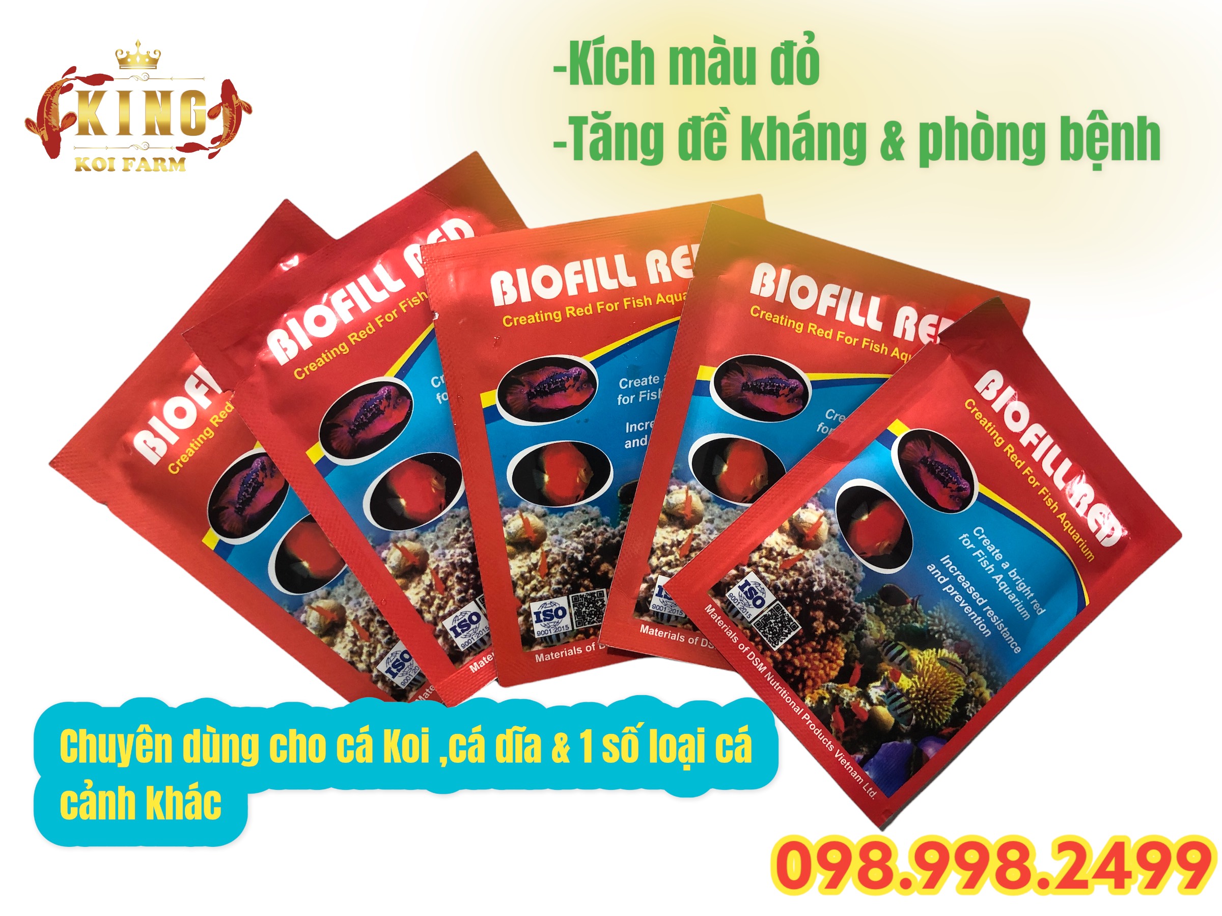 Chế phẩm BIOFILL RED hỗ trợ kích thích tăng sắc tố màu đỏ cho cá Koi & cá cảnh