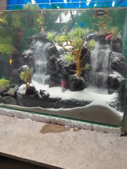 Thác Cát Bể Cá Cảnh- Suối Cát Hồ Cá