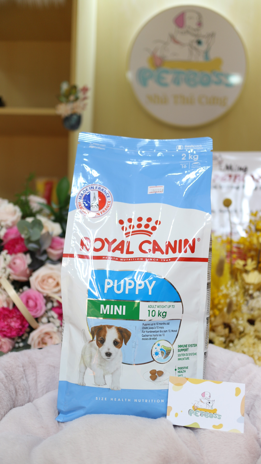 Thức ăn cho chó con royal canin mini puppy