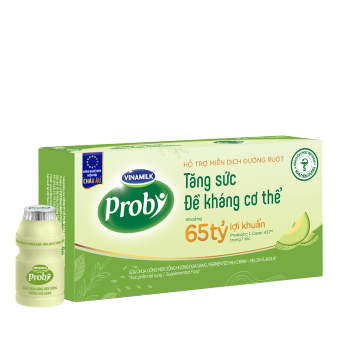 2 Thùng Sữa Chua Uống Probi Dưa Gang - Lốc 5 Chai 65ml