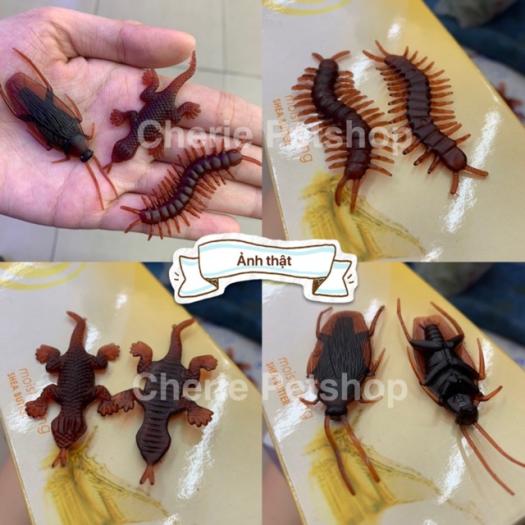 Đồ Chơi Con Gián Giả Thằn Lằn Rết Bọ cạp - 7k/3con - Chơi Cho Chó Mèo Chơi Khăm-May Pet