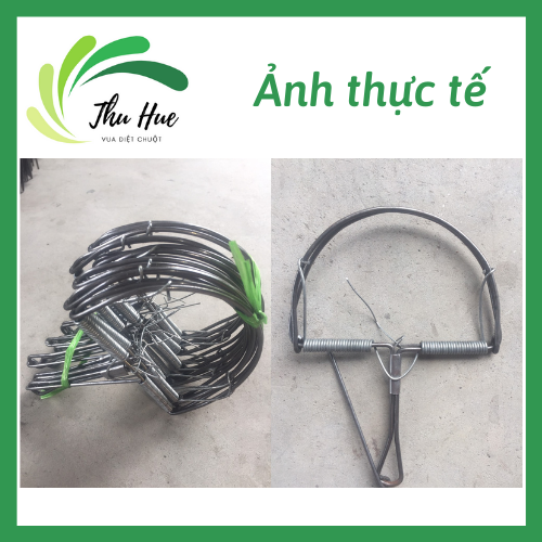 Combo 5 chiếc bẫy chuột bán nguyễn cỡ vừa