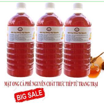 COMPO 3 chai Mật Ong Nguyên Chất Rừng Tây Nguyên 1 Lít (Giá Gốc, Bao Đủ Lít)