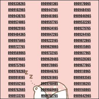 Sim Xuân Khuyến Mãi Vĩnh Viễn