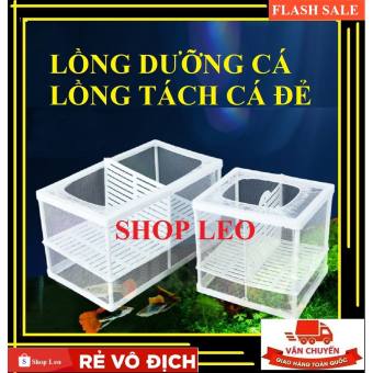 LỒNG DƯỠNG CÁ-LỒNG TÁCH CÁ ĐẺ- LỒNG ĐẺ BẢY MÀU- LỒNG CÁ ĐẺ - shopleo