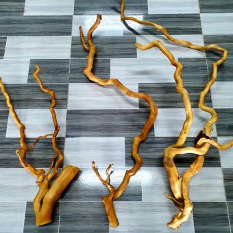 Lũa đỗ quyên nhánh đã qua xử lý - Thích hợp set layout hồ thủy sinh