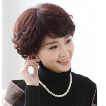 Tóc trung niên / Free ship 99k / Tóc giả nguyên đầu trung niên xoăn ngắn cc59