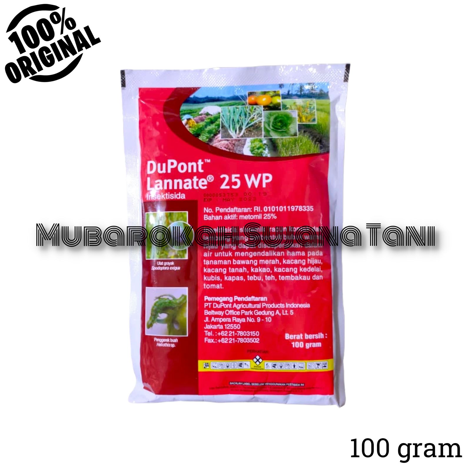 Gigant sik lanet geylar