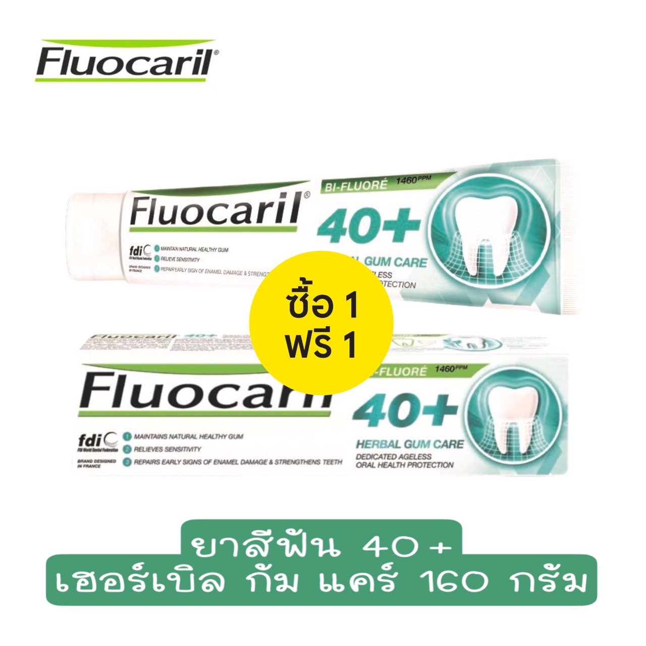 (Buy 1 Get 1 Free) Fluocaril 40Plus Herbal Gum Care 160 G. Fluocaril 40 Plus Herbal Gum Care Toothpaste, Toothpaste for People 40 Years Old, 160 G. ราคา 289 บาท*ส่งฟรี