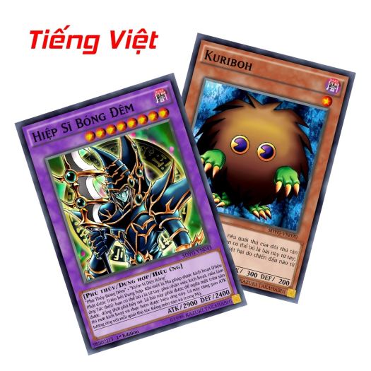 ◐❂✒ Yugioh Tiếng Việt - Hộp Bài Yugi Muto H01