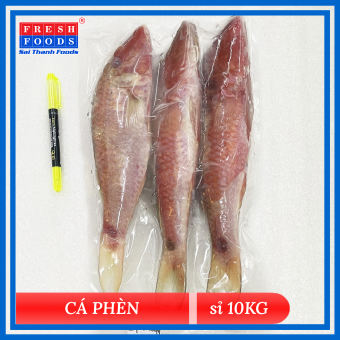 Cá Phèn (sỉ Thùng 10Kg) - SaiThanhFoods