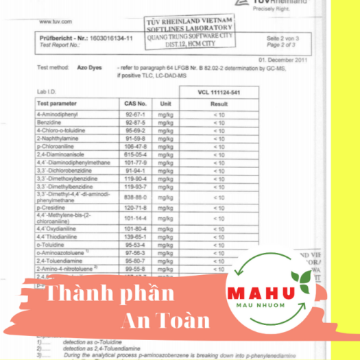 Thuốc nhuộm Giày Vải