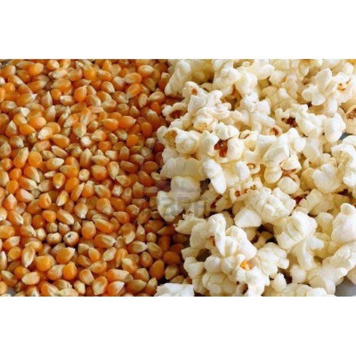 [500g] Bắp Nổ Mỹ Dùng Làm Bắp Rang Bơ ( có kèm hũ bơ 80g )