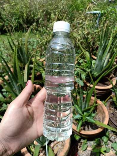 500ML TINH DẦU DỪA ÉP LẠNH BẾN TRE NGUYÊN CHẤT KHÔNG MÙI