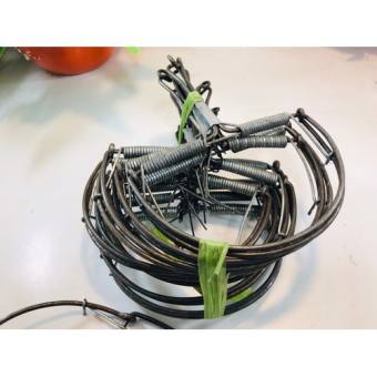 bẫy chuột hình bán nguyệt dễ dùng hiệu quả....COMBO 10 CHIẾC BẪY CHUỘT