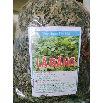 Lá đắng khô rừng Lai Châu (lá cơm kìa vụ mới) - chữa dạ dày, khuẩn Hp