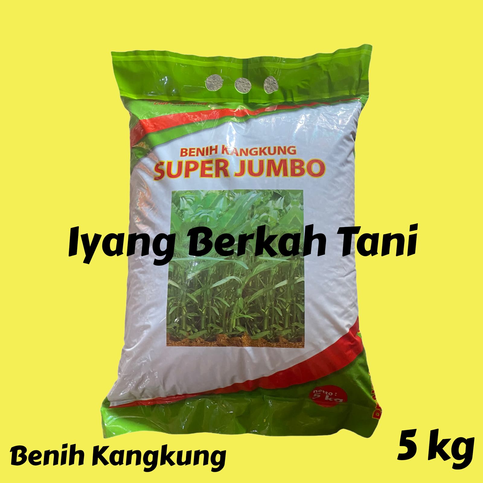 Super Jumbo Superior Water Spinach Seeds Contents 5 kg Harga 152,000 rupiah*Gratis Ongkir