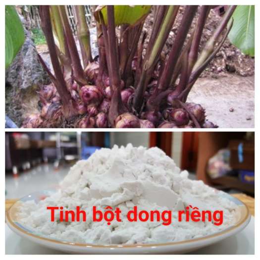 Bột dông riềng