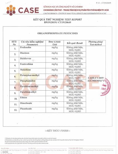 Gạo đặc sản VD 20 Gò Công túi 10 kg