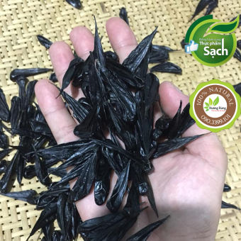 MẬT KỲ ĐÀ loại chuẩn sỉ toàn quốc