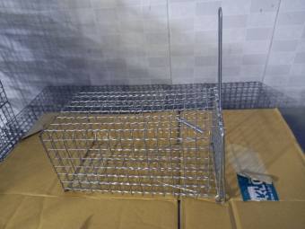 Combo 2 Bẫy chuột cống nhum, Sóc loại đại