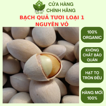 Bạch Quả Tươi Loại 1, không tẩy nguyên vỏ, hạt nặng Gói 500g