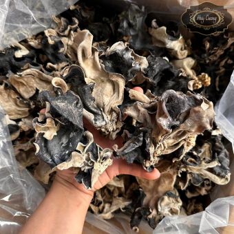 Mộc nhĩ rừng khô cao cấp loại 1 ngon giòn, to, cánh dày, không tẩm hóa chất, tai nấm to. Đặc sản mộc nhĩ đen, nấm mèo khô Tây Bắc