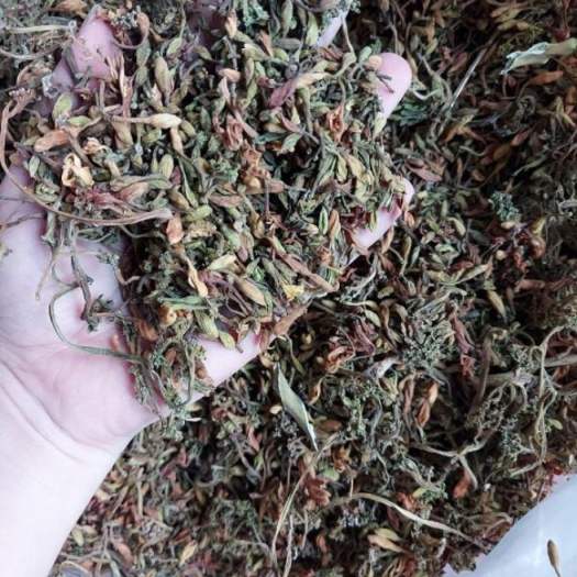 sỉ toàn quốc 500g nụ hoa đu đủ đực sấy khô