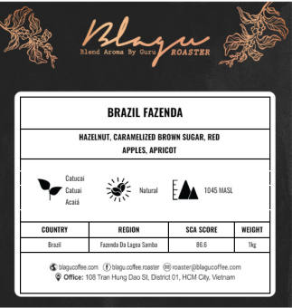 CÀ PHÊ HẠT NHÂN XANH GREEN BEAN BRAZIL FAZENDA – 1KG