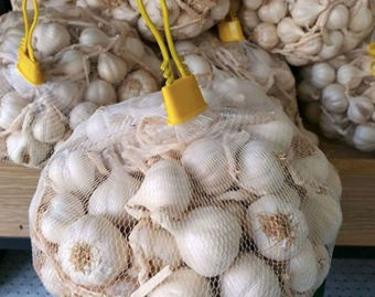 TỎI LÝ SƠN NGUYÊN CỦ - Loại Củ To Tròn - Không Lép