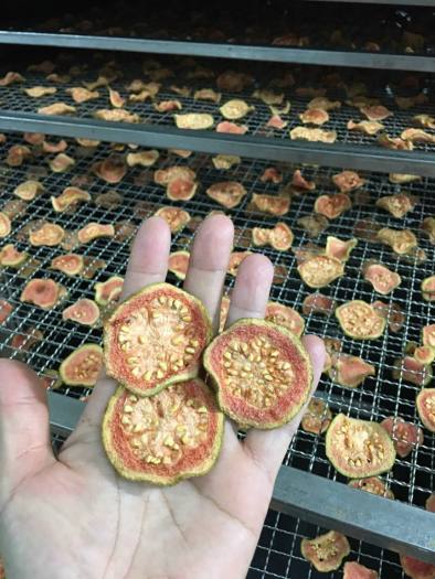 Ổi sấy lạnh gói - detox trái cây gói 200g