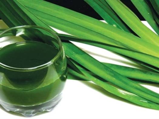 Siro Trung Lâm Sâm Dứa Chai 1 Lít