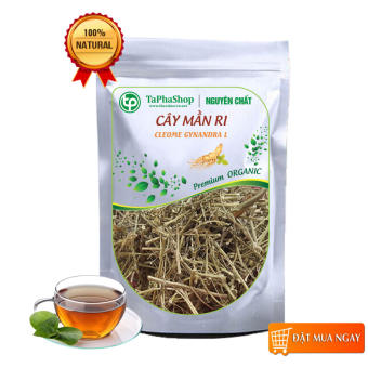 Cây mần ri khô 500g (mới, thơm, sạch) - tấn phát