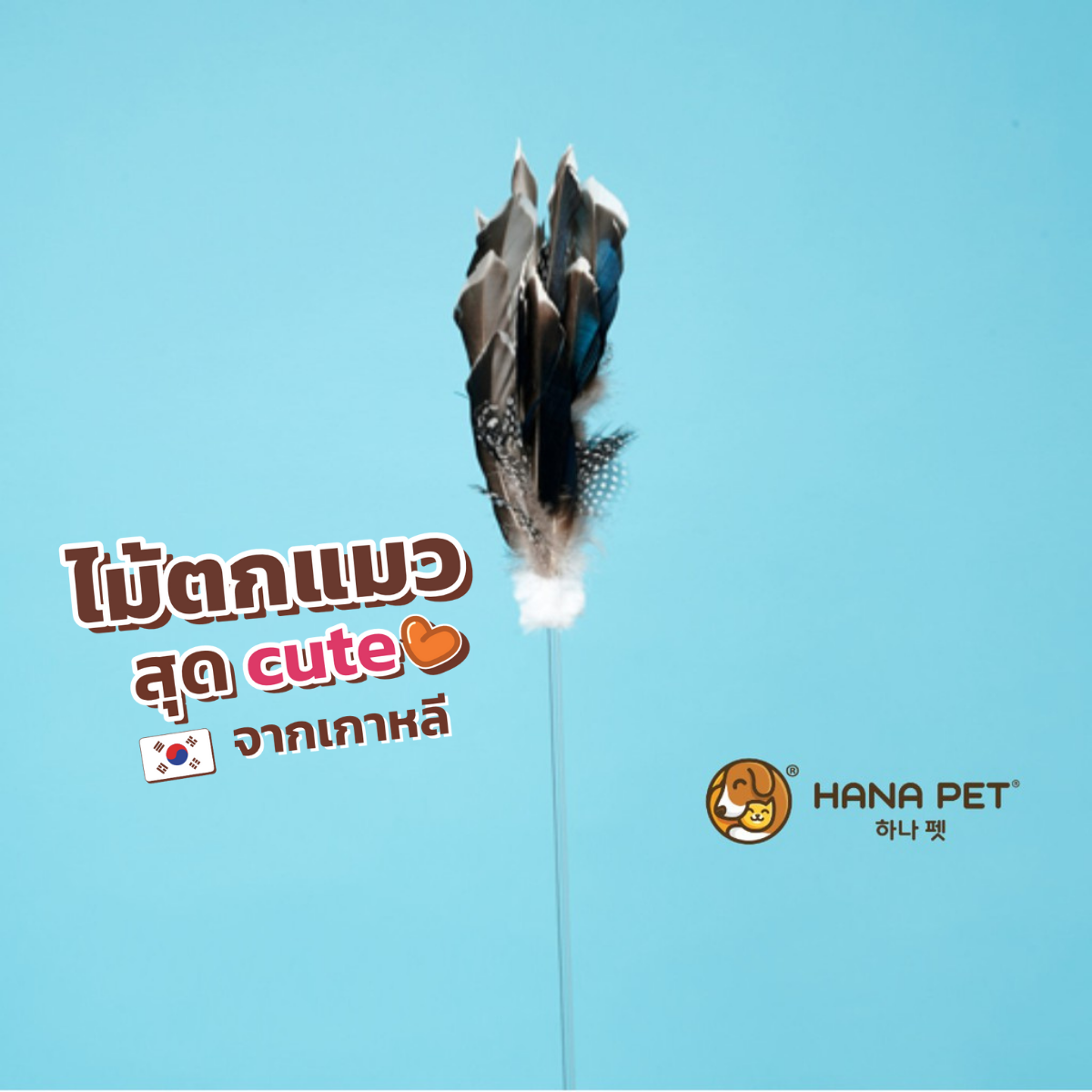 ของเล่นแมว Hana Pet ไม้ตกแมวรุ่น Duck Tin Tin ของเล่นน้องแมว ขนนก เป็ดแท้ธรรมชาติ จากเกาหลี ไม้ล่อแมว เบ็ดตกแมว ของเล่นแมว ราคา 449 บาท*ส่งฟรี