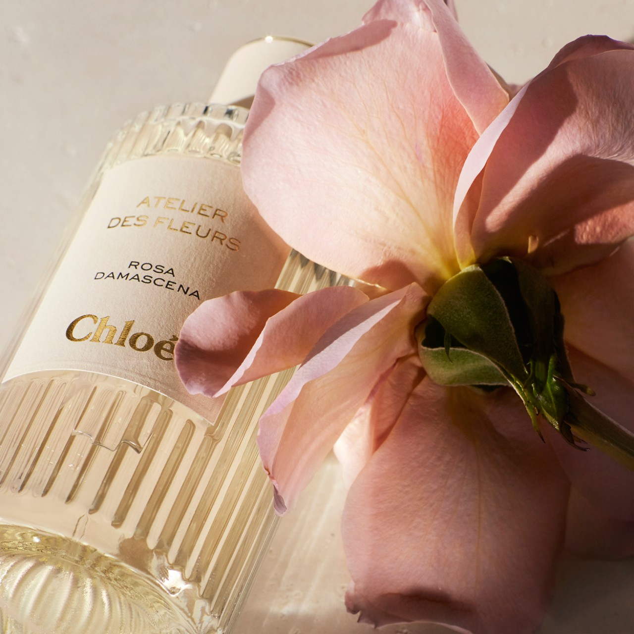 Chloé Atelier Des Fleurs Rosa Damascena Eau De Parfum For