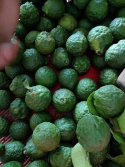 Trái chúc tươi 1kg 80k