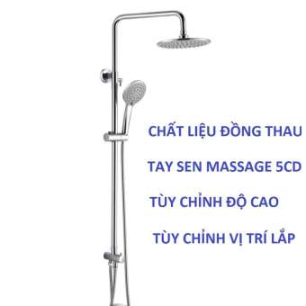 Cần sen cây rời cao cấp, cây sen, sen đứng, sen tắm