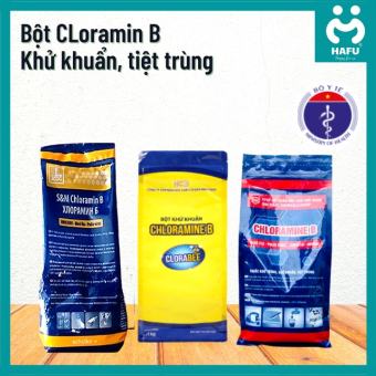 Bột khử khuẩn Cloramin B Việt Nam Clorabee, Cloramin B Đức Giang DGC, Cloramin B Tiệp Khắc S&M Schulke khử khuẩn đồ dùng, nước