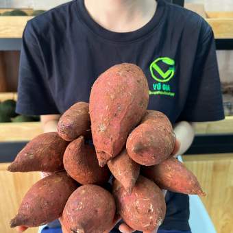 VG FARM Khoai Lang Mật Đà Lạt Lâm Đồng