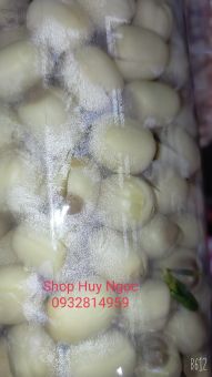 HẠT SEN TƯƠI ĐỒNG THÁP 500GRAM