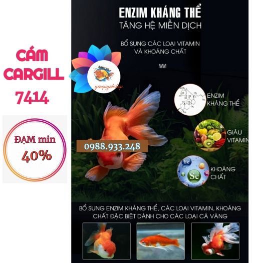 Cám Cargill 7414 đạm cao 40% chuẩn nuôi cá giống, cá Cảnh hoặc làm Mồi câu Rô, Chép/1Kg